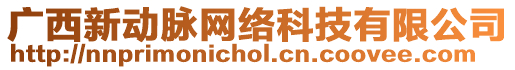 廣西新動脈網(wǎng)絡(luò)科技有限公司