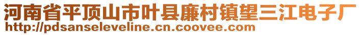 河南省平頂山市葉縣廉村鎮(zhèn)望三江電子廠