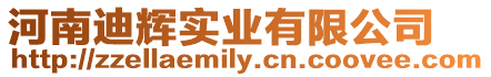 河南迪輝實(shí)業(yè)有限公司