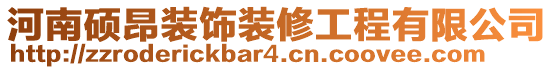 河南碩昂裝飾裝修工程有限公司