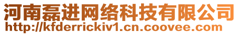 河南磊進(jìn)網(wǎng)絡(luò)科技有限公司