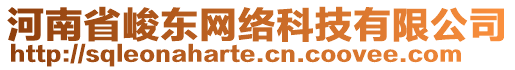 河南省峻東網(wǎng)絡(luò)科技有限公司