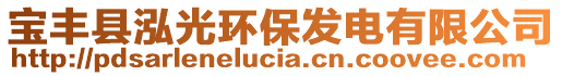 寶豐縣泓光環(huán)保發(fā)電有限公司