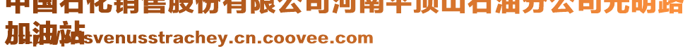 中國(guó)石化銷售股份有限公司河南平頂山石油分公司光明路
加油站