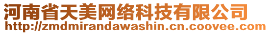 河南省天美網絡科技有限公司