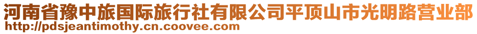 河南省豫中旅國際旅行社有限公司平頂山市光明路營業(yè)部