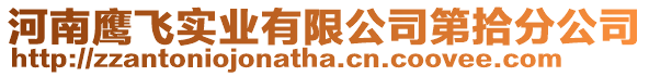 河南鷹飛實業有限公司第拾分公司