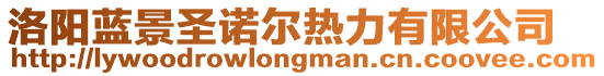 洛陽(yáng)藍(lán)景圣諾爾熱力有限公司