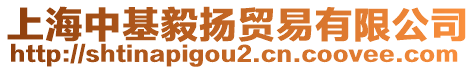 上海中基毅揚(yáng)貿(mào)易有限公司