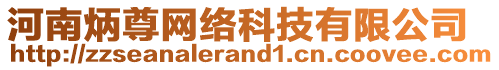 河南炳尊網絡科技有限公司