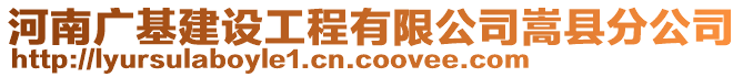 河南廣基建設(shè)工程有限公司嵩縣分公司