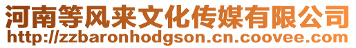 河南等風(fēng)來(lái)文化傳媒有限公司