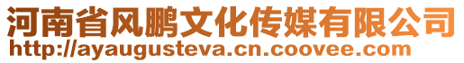 河南省風鵬文化傳媒有限公司