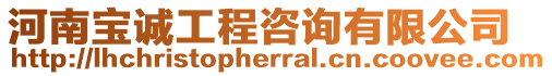 河南寶誠工程咨詢有限公司