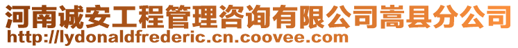 河南誠安工程管理咨詢有限公司嵩縣分公司