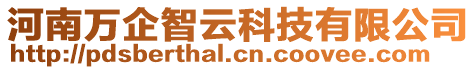 河南萬企智云科技有限公司