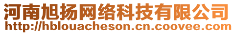 河南旭揚(yáng)網(wǎng)絡(luò)科技有限公司