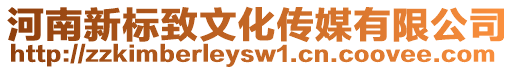 河南新標(biāo)致文化傳媒有限公司