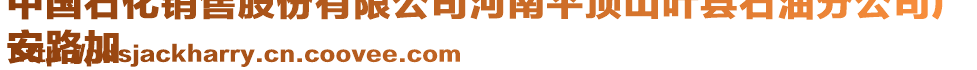 中國(guó)石化銷售股份有限公司河南平頂山葉縣石油分公司廣
安路加