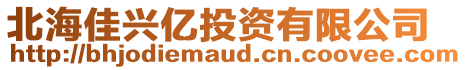 北海佳興億投資有限公司