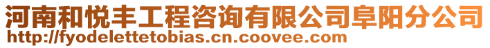 河南和悅豐工程咨詢有限公司阜陽分公司