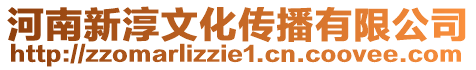 河南新淳文化傳播有限公司
