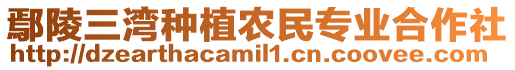 鄢陵三灣種植農(nóng)民專業(yè)合作社