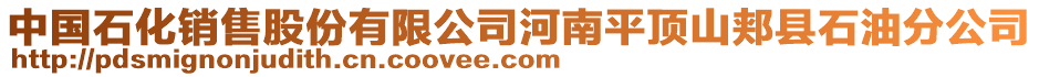 中國石化銷售股份有限公司河南平頂山郟縣石油分公司