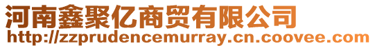 河南鑫聚億商貿有限公司