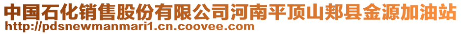 中國石化銷售股份有限公司河南平頂山郟縣金源加油站