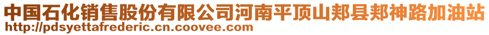 中國(guó)石化銷售股份有限公司河南平頂山郟縣郟神路加油站