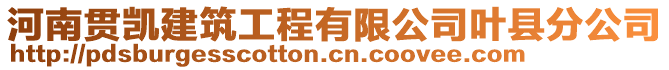 河南貫凱建筑工程有限公司葉縣分公司