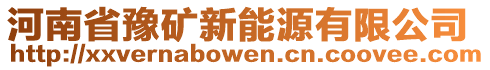 河南省豫礦新能源有限公司