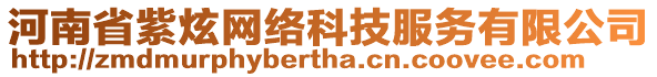 河南省紫炫網(wǎng)絡(luò)科技服務(wù)有限公司