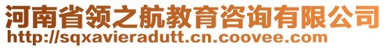 河南省領(lǐng)之航教育咨詢有限公司