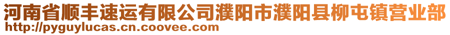 河南省順豐速運(yùn)有限公司濮陽(yáng)市濮陽(yáng)縣柳屯鎮(zhèn)營(yíng)業(yè)部