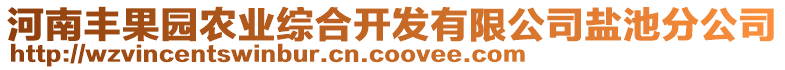 河南豐果園農業(yè)綜合開發(fā)有限公司鹽池分公司