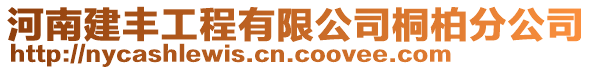 河南建豐工程有限公司桐柏分公司