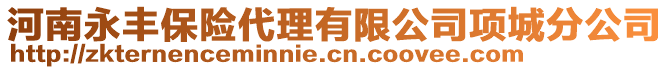 河南永豐保險代理有限公司項城分公司