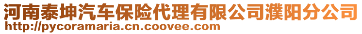 河南泰坤汽車保險(xiǎn)代理有限公司濮陽(yáng)分公司