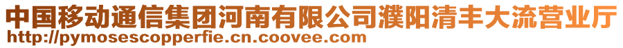 中國移動通信集團河南有限公司濮陽清豐大流營業(yè)廳