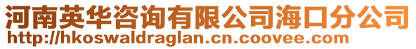 河南英華咨詢有限公司海口分公司