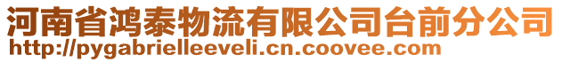 河南省鴻泰物流有限公司臺前分公司