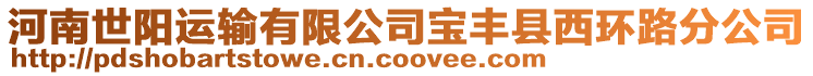 河南世陽運輸有限公司寶豐縣西環(huán)路分公司
