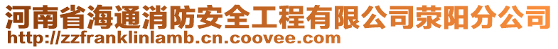 河南省海通消防安全工程有限公司滎陽分公司