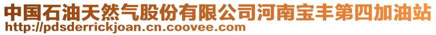 中國石油天然氣股份有限公司河南寶豐第四加油站
