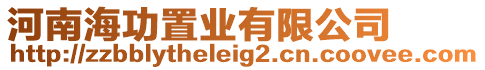 河南海功置業有限公司