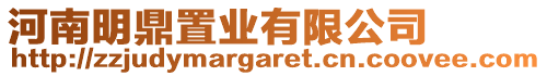 河南明鼎置業(yè)有限公司