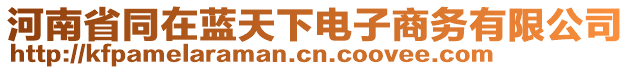 河南省同在藍天下電子商務有限公司