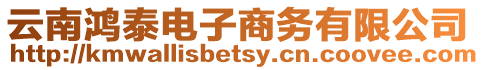 云南鴻泰電子商務有限公司